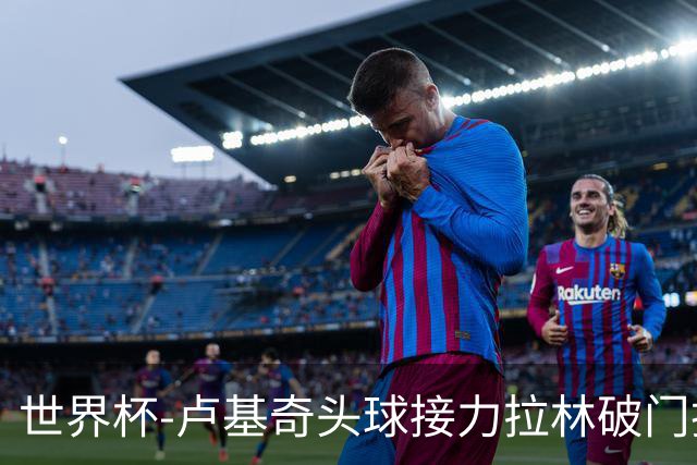 世界杯-卢基奇头球接力拉林破门扳平 加拿大1-1波黑