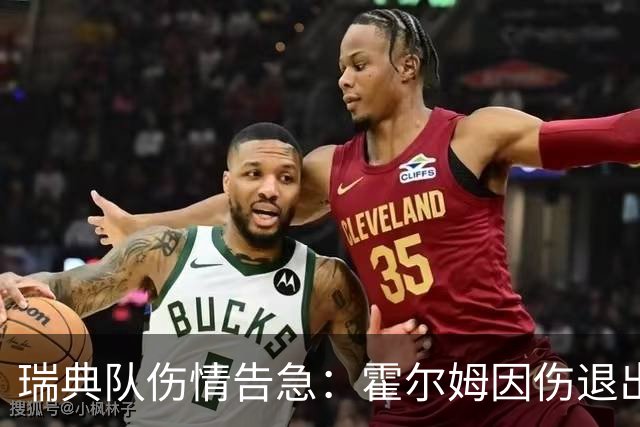 瑞典队伤情告急：霍尔姆因伤退出世界杯，赫尔曼·约翰逊紧急递补